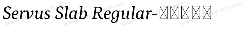 Servus Slab Regular字体转换